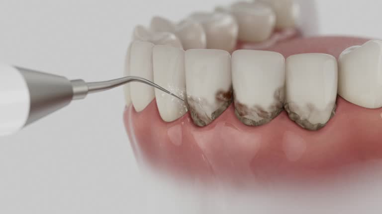 Reliable Dental contractor in Vandercook Lake, MI by Dentist Open Now